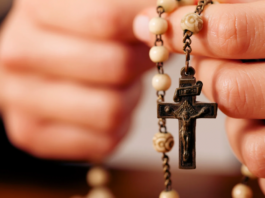 Alrededor de María: Acompañados por la Madre de Dios