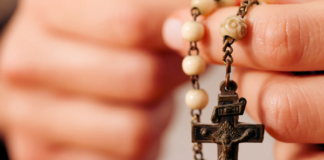 Alrededor de María: Acompañados por la Madre de Dios