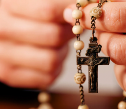 Alrededor de María: Acompañados por la Madre de Dios