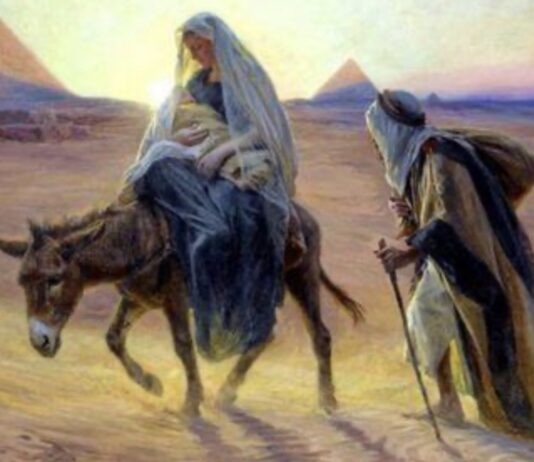 La Realidad Migratoria Iluminada por la Virgen María