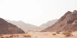 Cuando siento que mi desierto no termina