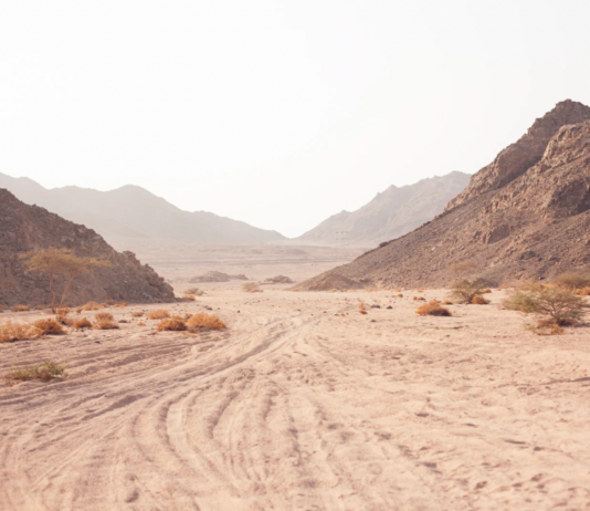 Cuando siento que mi desierto no termina