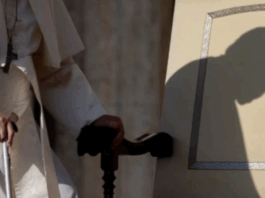 Conmoción en el mundo: El Papa Francisco ha regresado a la Casa del Padre