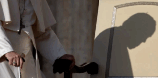 Conmoción en el mundo: El Papa Francisco ha regresado a la Casa del Padre