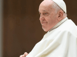 El legado del Papa Francisco: un pastor con olor a oveja