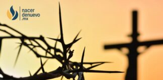 Las Siete Palabras de Jesús en la Cruz: un legado de amor hasta el extremo