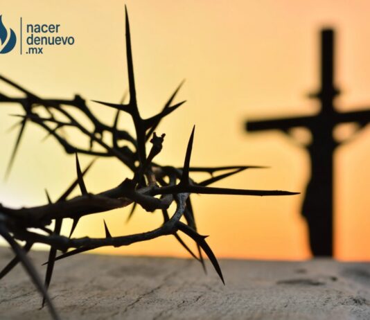 Las Siete Palabras de Jesús en la Cruz: un legado de amor hasta el extremo