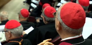 Suspenden beatificaciones y canonizaciones hasta la elección del nuevo Papa