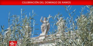 “Tendamos la mano al que ya no puede más”: el Papa Francisco llama a vivir la compasión en esta Semana Santa