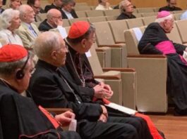 ¿Tiene el Papa León XIV enemigos dentro de la Iglesia?