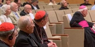 ¿Tiene el Papa León XIV enemigos dentro de la Iglesia?