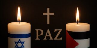 Contra toda violencia, a favor de toda vida: los católicos no podemos ser solidarios selectivos