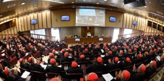 León XIV: “Elegí mi nombre por León XIII, defensor de la dignidad, la justicia y el trabajo”