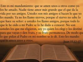 “Este es mi mandamiento: que se amen unos a otros”