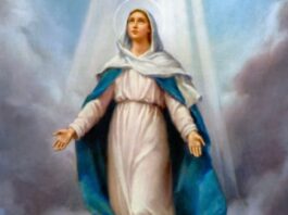 El Reino es de Dios, pero el “sí” nos corresponde a nosotros: León XIV