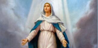 El Reino es de Dios, pero el “sí” nos corresponde a nosotros: León XIV