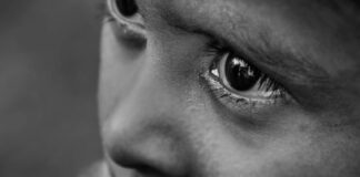 La Pastoral por la vida debe defender todas las vidas