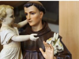 ¿Por qué veneramos a los santos y no los adoramos?