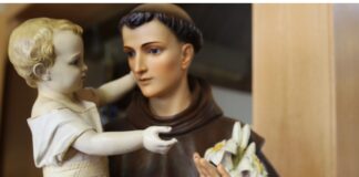 ¿Por qué veneramos a los santos y no los adoramos?