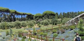 El Borgo Laudato Si’: un espacio de encuentro con Dios y la creación