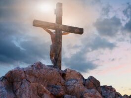 Lo que me dejaron las lecturas de este domingo 14 de septiembre de 2025. Reflexión laical desde la séptima fila.