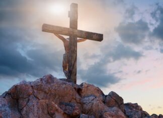 Lo que me dejaron las lecturas de este domingo 14 de septiembre de 2025. Reflexión laical desde la séptima fila.