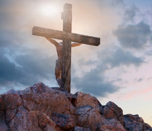 Lo que me dejaron las lecturas de este domingo 14 de septiembre de 2025. Reflexión laical desde la séptima fila.