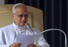 La creación sufre porque se ha concentrado en pocas manos: León XIV Papa León XIV durante una catequesis jubilar en el Vaticano, reflexionando sobre la esperanza cristiana y la creación.