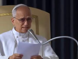 La creación sufre porque se ha concentrado en pocas manos: León XIV Papa León XIV durante una catequesis jubilar en el Vaticano, reflexionando sobre la esperanza cristiana y la creación.