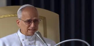 La creación sufre porque se ha concentrado en pocas manos: León XIV Papa León XIV durante una catequesis jubilar en el Vaticano, reflexionando sobre la esperanza cristiana y la creación.