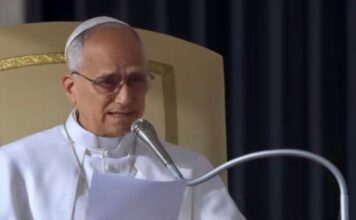La creación sufre porque se ha concentrado en pocas manos: León XIV Papa León XIV durante una catequesis jubilar en el Vaticano, reflexionando sobre la esperanza cristiana y la creación.