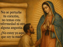 El Nican Mopohua: el corazón escrito del mensaje guadalupano Ilustración horizontal de la Virgen de Guadalupe dialogando con san Juan Diego, junto a un pergamino con la frase “¿No estoy yo aquí, que soy tu madre?”, inspirada en el Nican Mopohua.