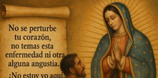 El Nican Mopohua: el corazón escrito del mensaje guadalupano Ilustración horizontal de la Virgen de Guadalupe dialogando con san Juan Diego, junto a un pergamino con la frase “¿No estoy yo aquí, que soy tu madre?”, inspirada en el Nican Mopohua.