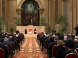 Papa León XIV advierte sobre el retorno de la guerra y pide reforzar el multilateralismo El Papa León XIV sentado en el centro de una gran sala del Vaticano, frente a decenas de diplomáticos y representantes internacionales reunidos en audiencia oficial.