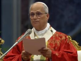 En Pedro y Pablo se representa la unidad de la Iglesia, dijo León XIV El Papa León XIV pronuncia la homilía durante la celebración de la solemnidad de los santos Pedro y Pablo en la Basílica de San Pedro.