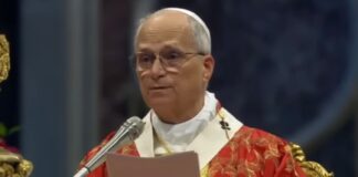 En Pedro y Pablo se representa la unidad de la Iglesia, dijo León XIV El Papa León XIV pronuncia la homilía durante la celebración de la solemnidad de los santos Pedro y Pablo en la Basílica de San Pedro.